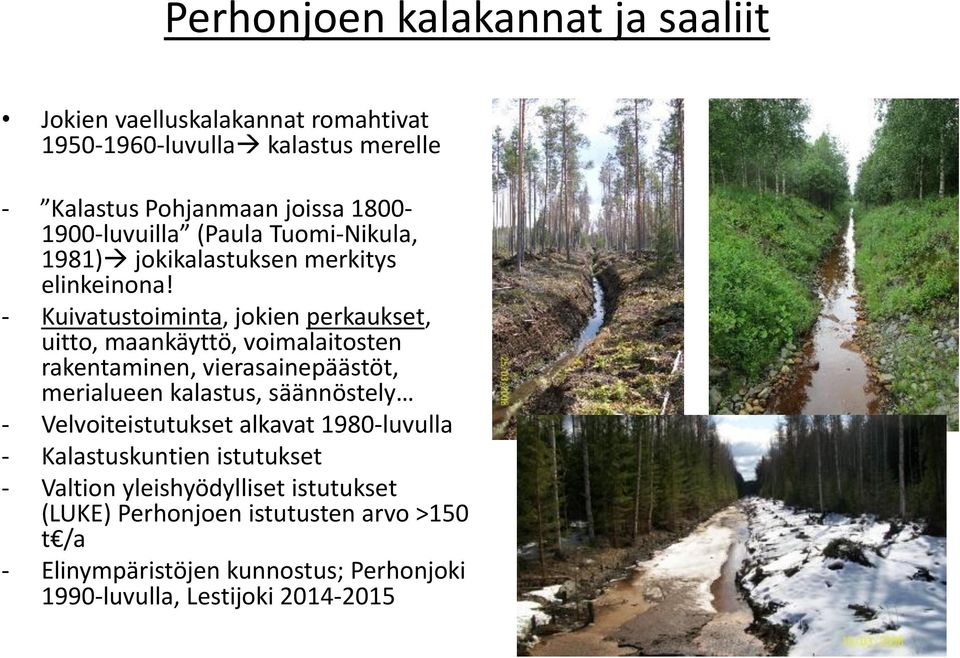 - Kuivatustoiminta, jokien perkaukset, uitto, maankäyttö, voimalaitosten rakentaminen, vierasainepäästöt, merialueen kalastus, säännöstely -