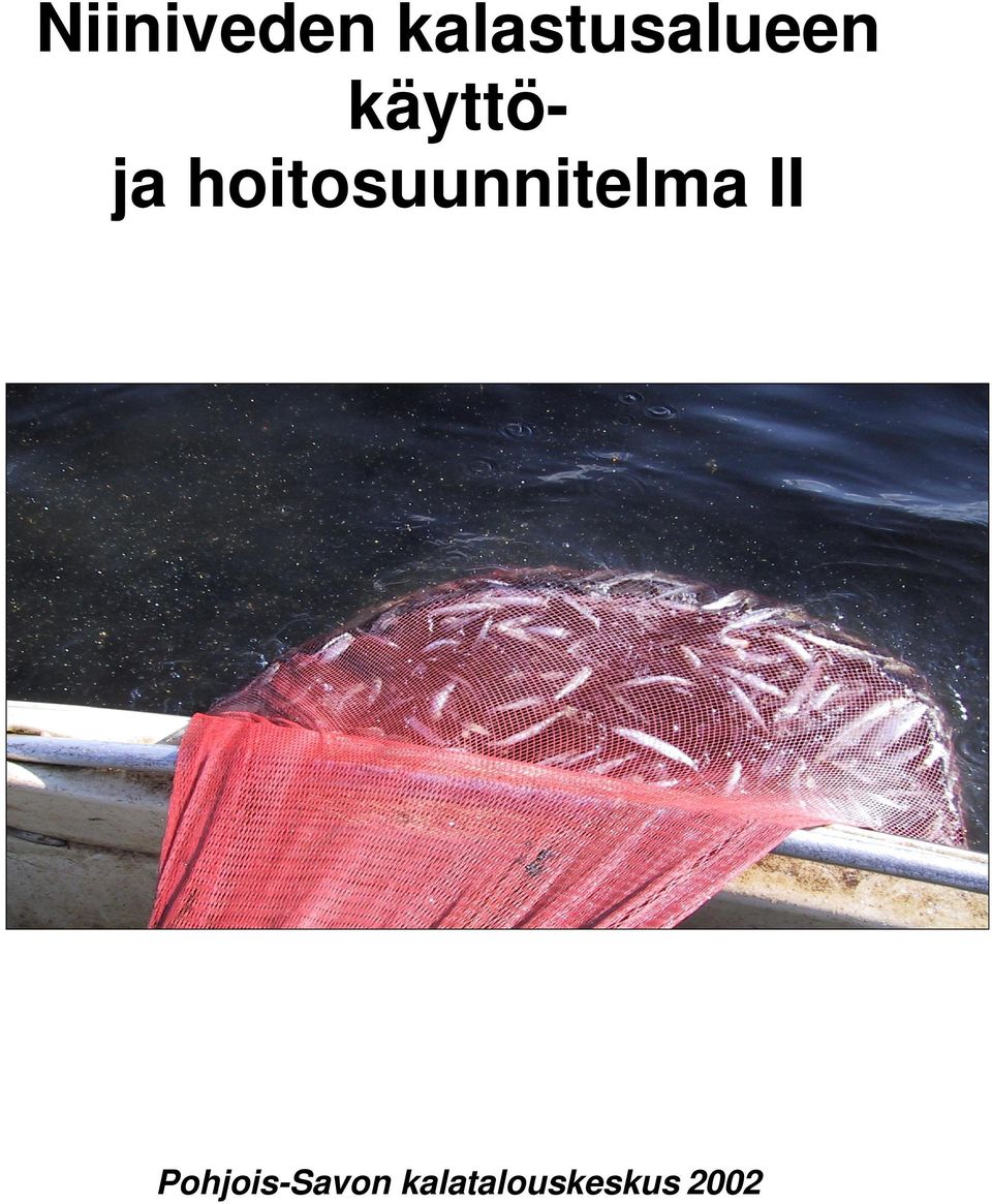 ja hoitosuunnitelma II
