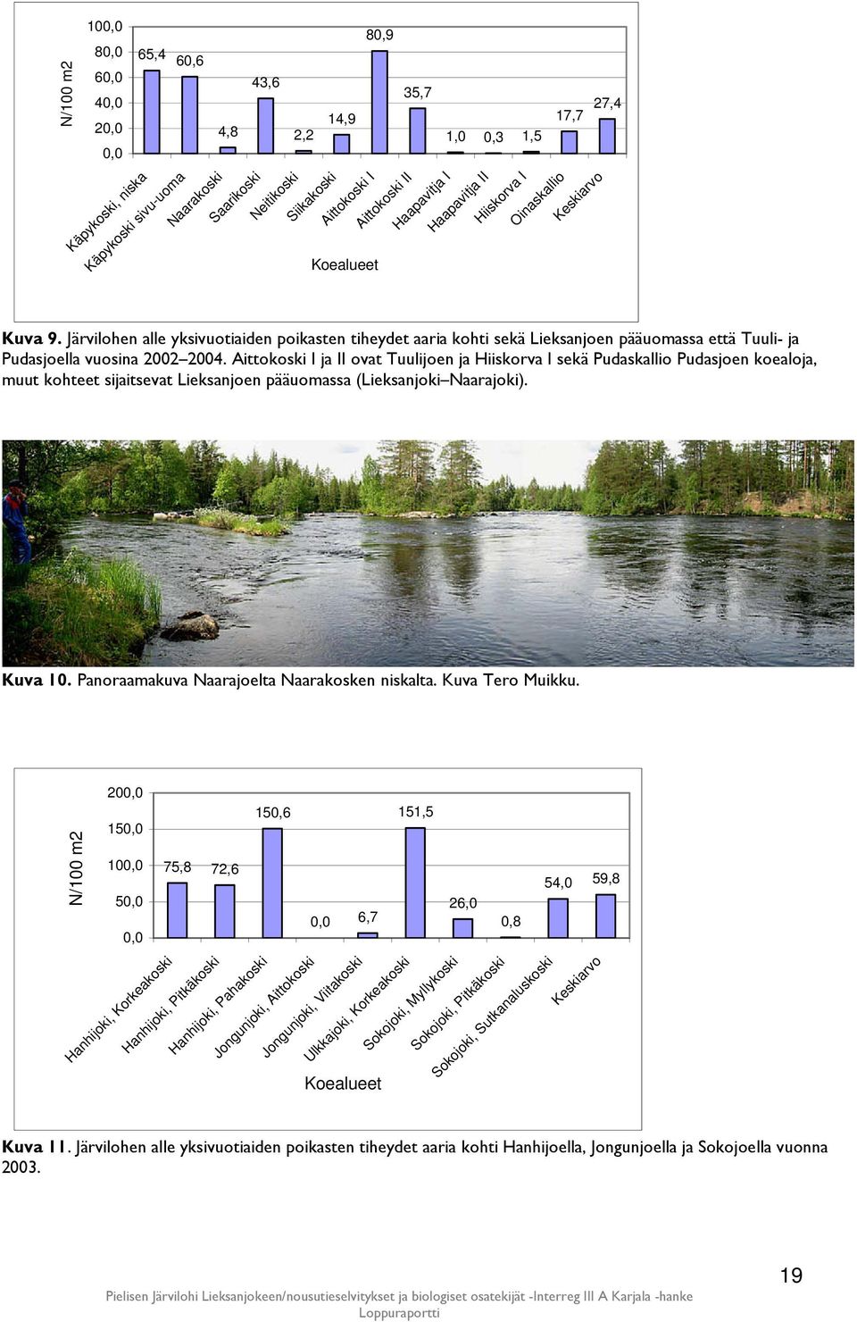 Järvilohen alle yksivuotiaiden poikasten tiheydet aaria kohti sekä Lieksanjoen pääuomassa että Tuuli- ja Pudasjoella vuosina 2002 2004.