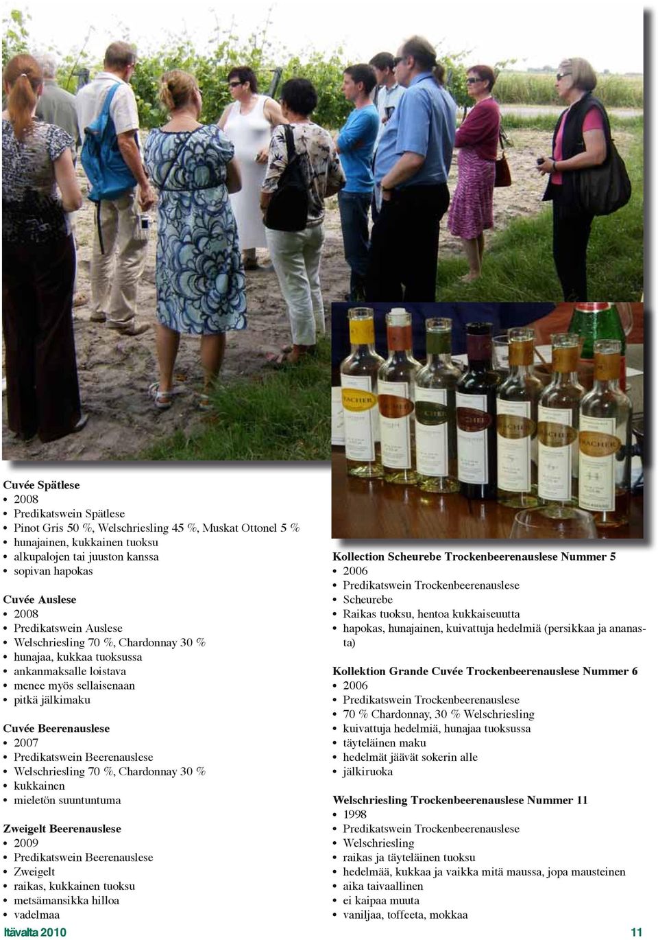 Beerenauslese Welschriesling 70 %, Chardonnay 30 % kukkainen mieletön suuntuntuma Zweigelt Beerenauslese 2009 Predikatswein Beerenauslese Zweigelt raikas, kukkainen tuoksu metsämansikka hilloa