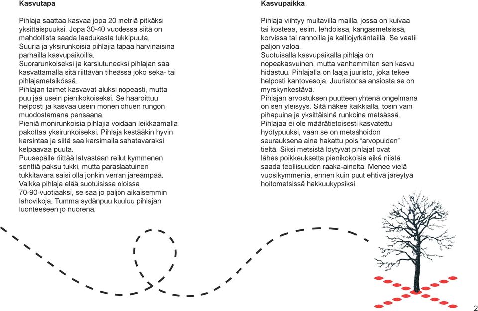 Pihlajan taimet kasvavat aluksi nopeasti, mutta puu jää usein pienikokoiseksi. Se haaroittuu helposti ja kasvaa usein monen ohuen rungon muodostamana pensaana.