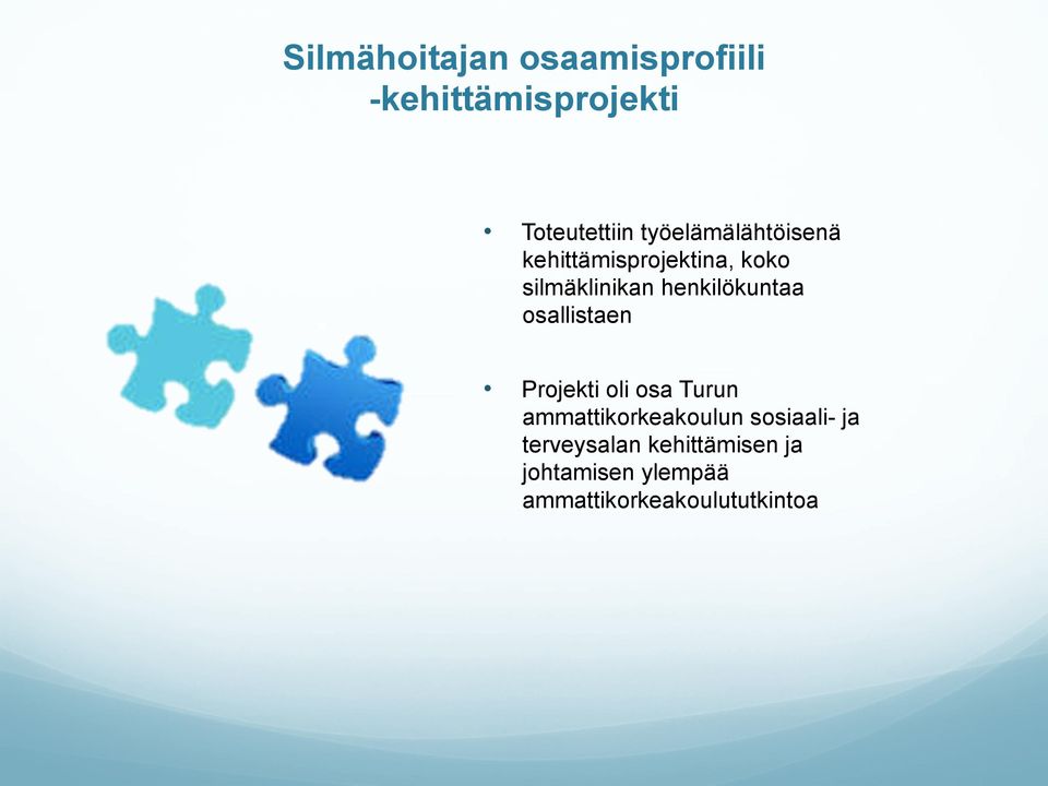 henkilökuntaa osallistaen Projekti oli osa Turun ammattikorkeakoulun