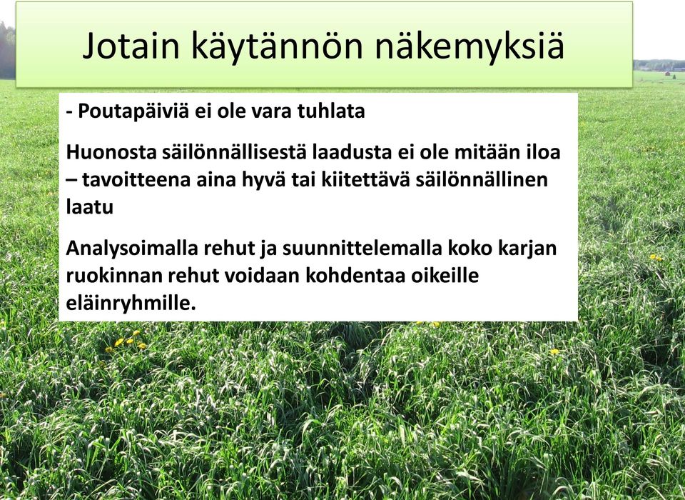 kiitettävä säilönnällinen laatu Analysoimalla rehut ja