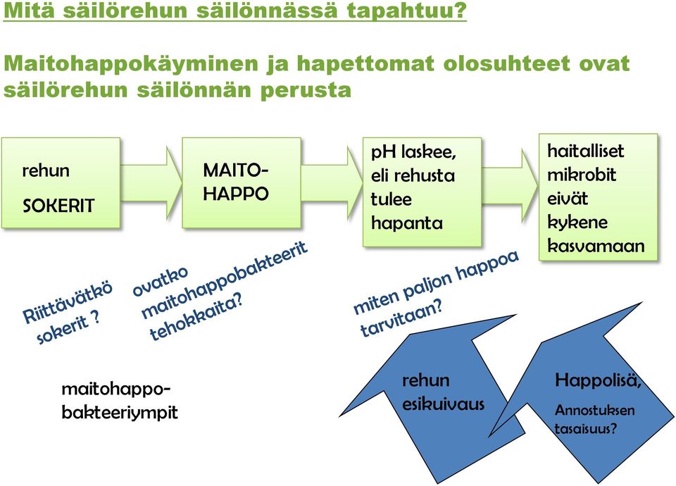 perusta rehun SOKERIT MAITO- HAPPO ph laskee, eli rehusta tulee hapanta