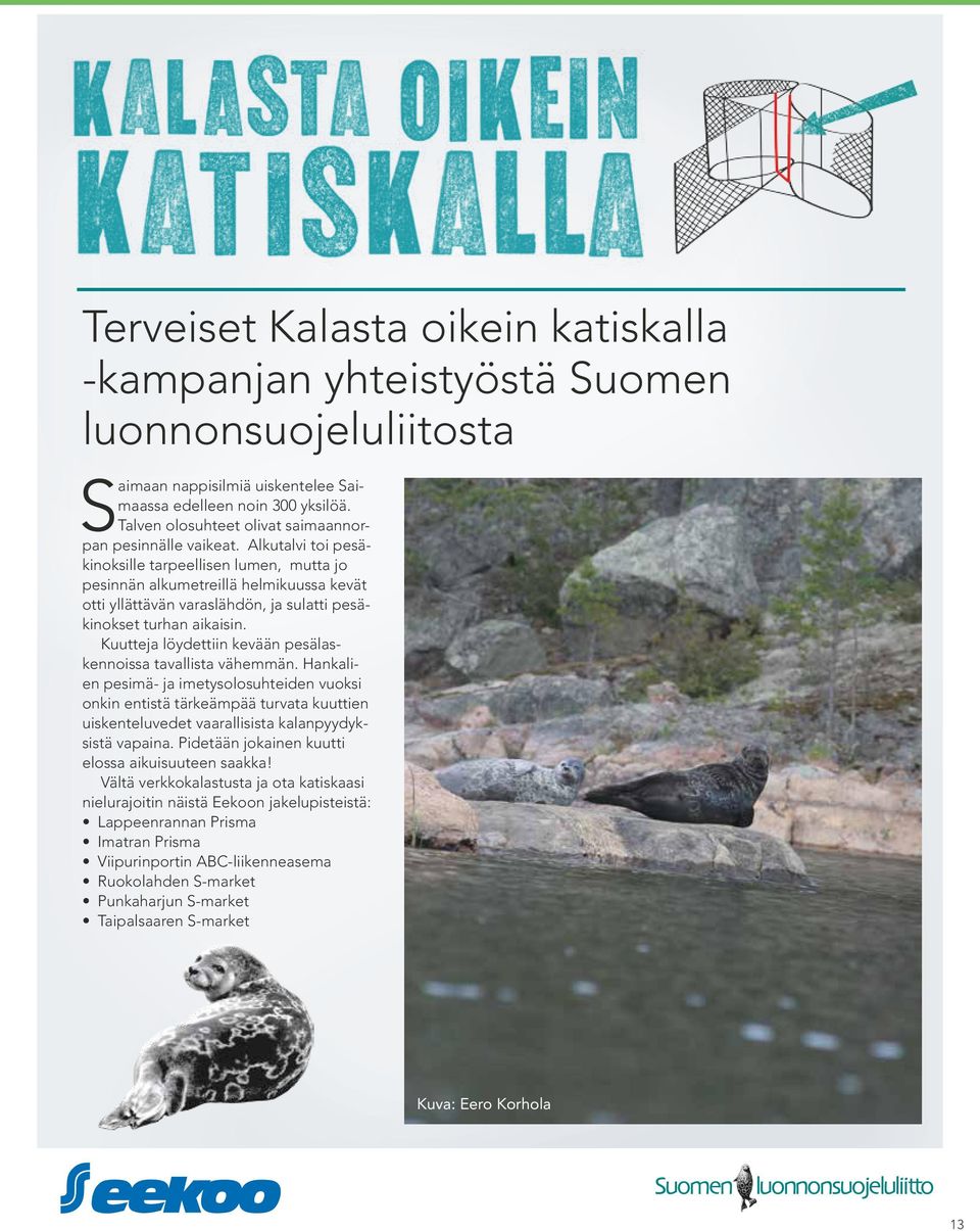 Alkutalvi toi pesäkinoksille tarpeellisen lumen, mutta jo pesinnän alkumetreillä helmikuussa kevät otti yllättävän varaslähdön, ja sulatti pesäkinokset turhan aikaisin.