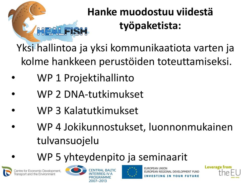 WP 1 Projektihallinto WP 2 DNA-tutkimukset WP 3 Kalatutkimukset WP 4