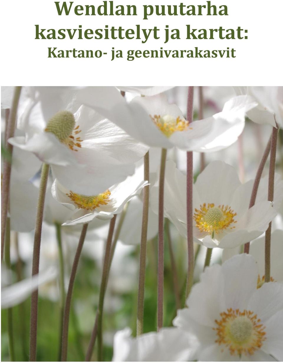 kartat: Kartano-