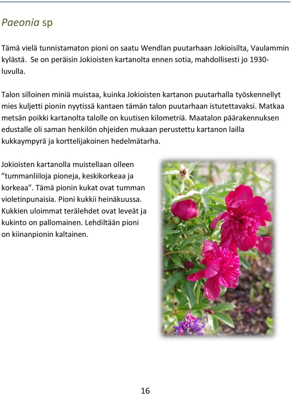 Matkaa metsän poikki kartanolta talolle on kuutisen kilometriä.