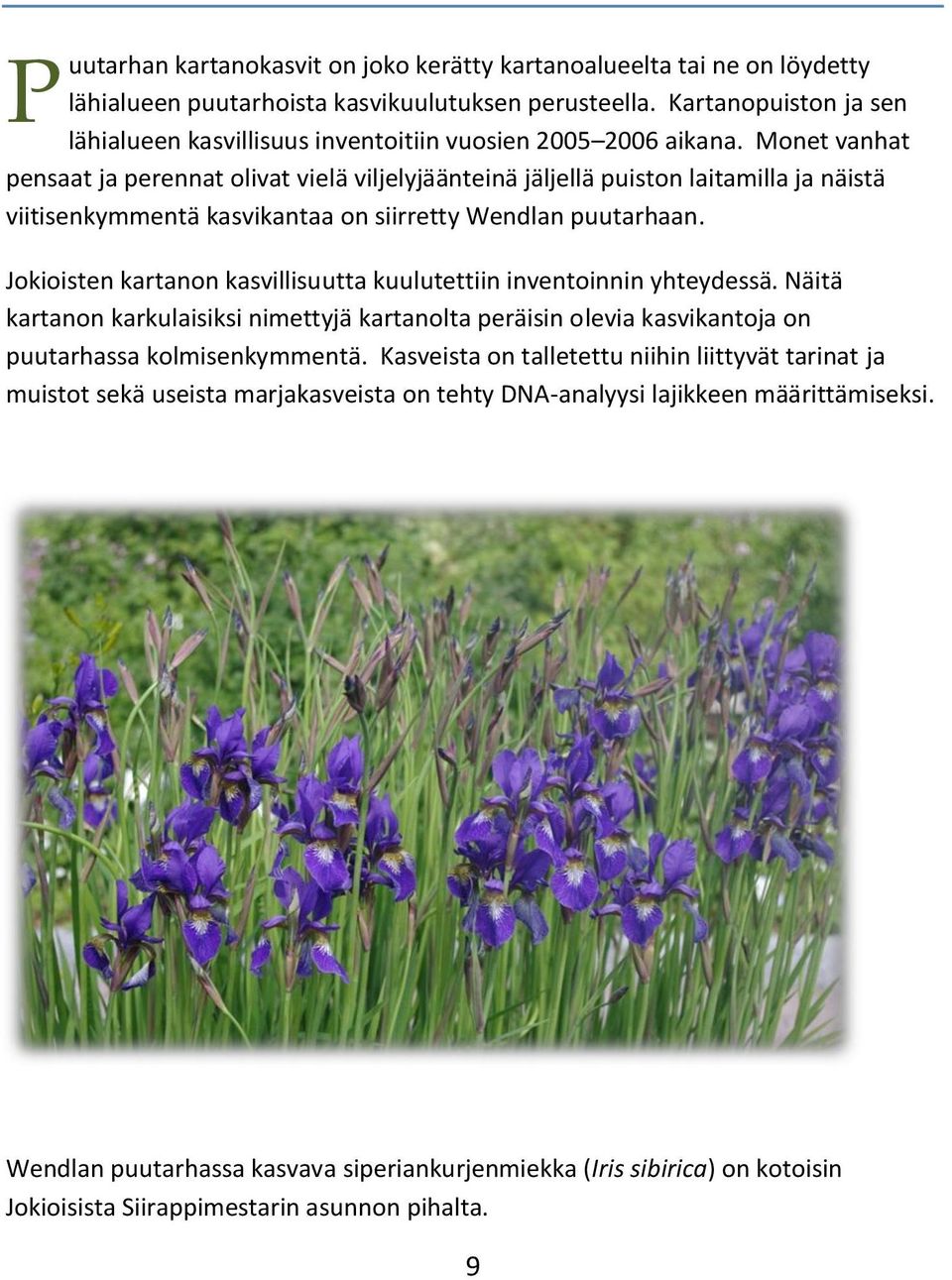 Monet vanhat pensaat ja perennat olivat vielä viljelyjäänteinä jäljellä puiston laitamilla ja näistä viitisenkymmentä kasvikantaa on siirretty Wendlan puutarhaan.