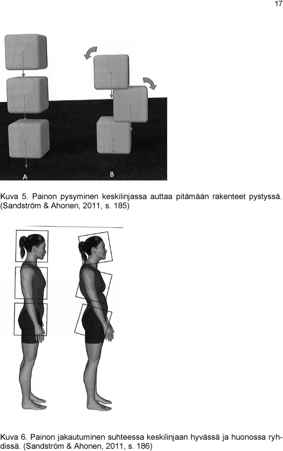 pystyssä. (Sandström & Ahonen, 2011, s. 185) Kuva 6.