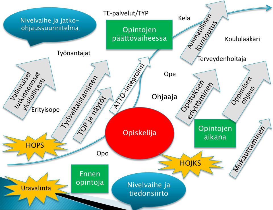Terveydenhoitaja Ope Ohjaaja Erityisope HOPS Opo Opiskelija