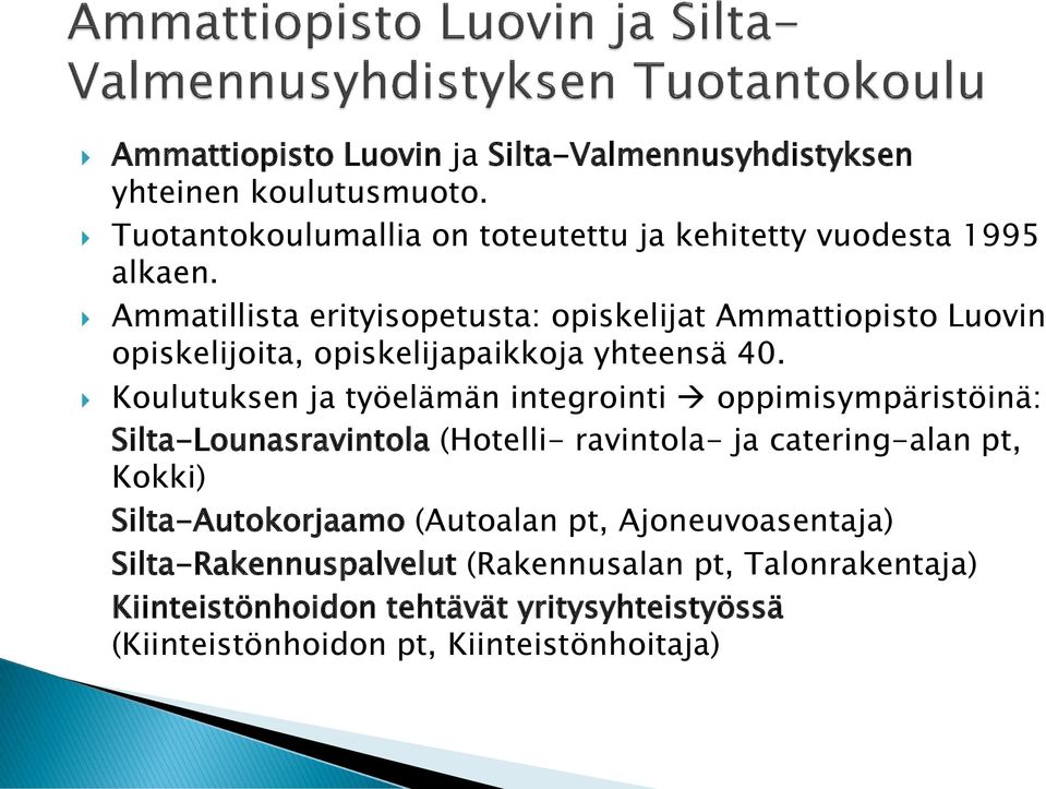 Koulutuksen ja työelämän integrointi oppimisympäristöinä: Silta-Lounasravintola (Hotelli- ravintola- ja catering-alan pt, Kokki)