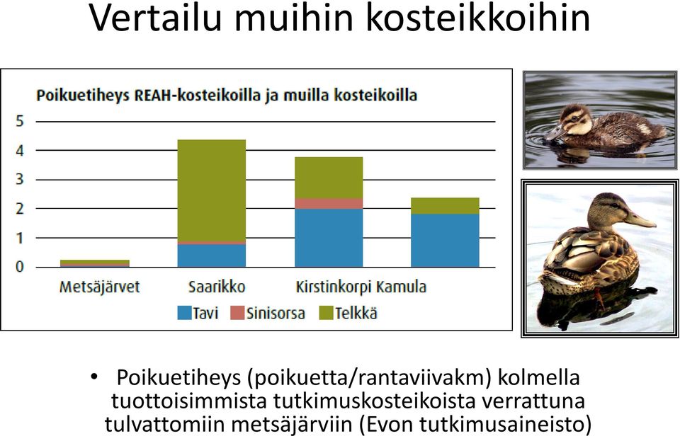 tuottoisimmista tutkimuskosteikoista