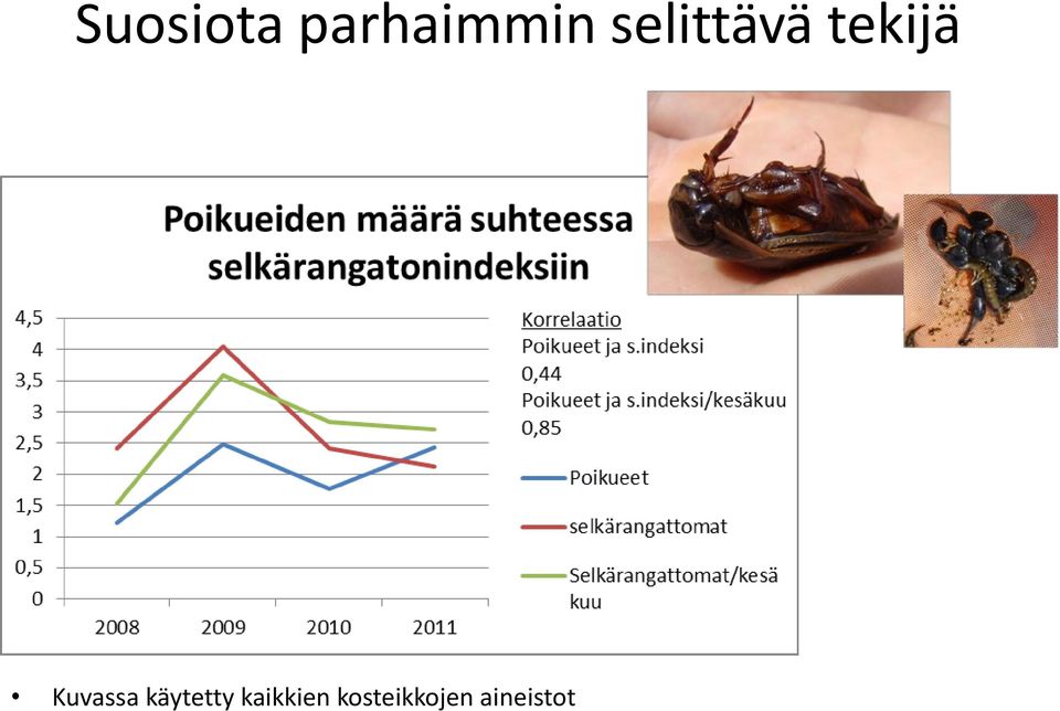 Kuvassa käytetty