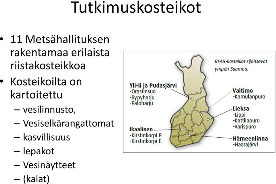 vesilinnusto, Vesiselkärangattomat