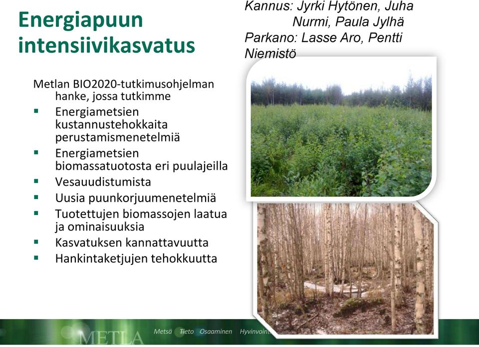 perustamismenetelmiä Energiametsien biomassatuotosta eri puulajeilla Vesauudistumista Uusia