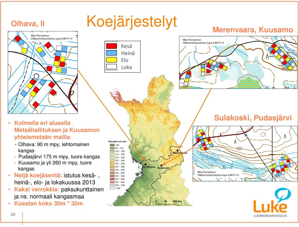 Pudasjärvi 175 m mpy, tuore kangas - Kuusamo ja yli 260 m mpy, tuore kangas Neljä koejäsentä: istutus kesä-, heinä-, elo- ja lokakuussa 2013