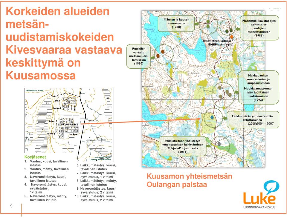 Vaotus, mänty, tavallinen 1 = Vaotus, kuusi, tavallinen istutus 6 = Laikkumätästys, kuusi, tavallinen istutus 2 = Vaotus, istutus mänty, tavallinen istutus 7 = Laikkumätästys, 7.