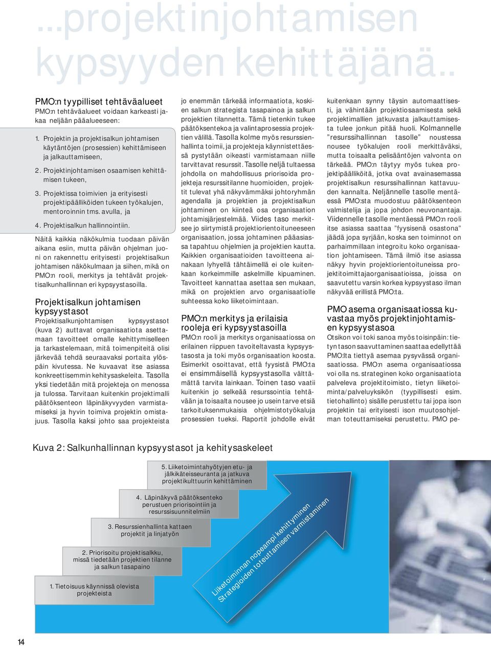 Projektissa toimivien ja erityisesti projektipäälliköiden tukeen työkalujen, mentoroinnin tms. avulla, ja 4. Projektisalkun hallinnointiin.