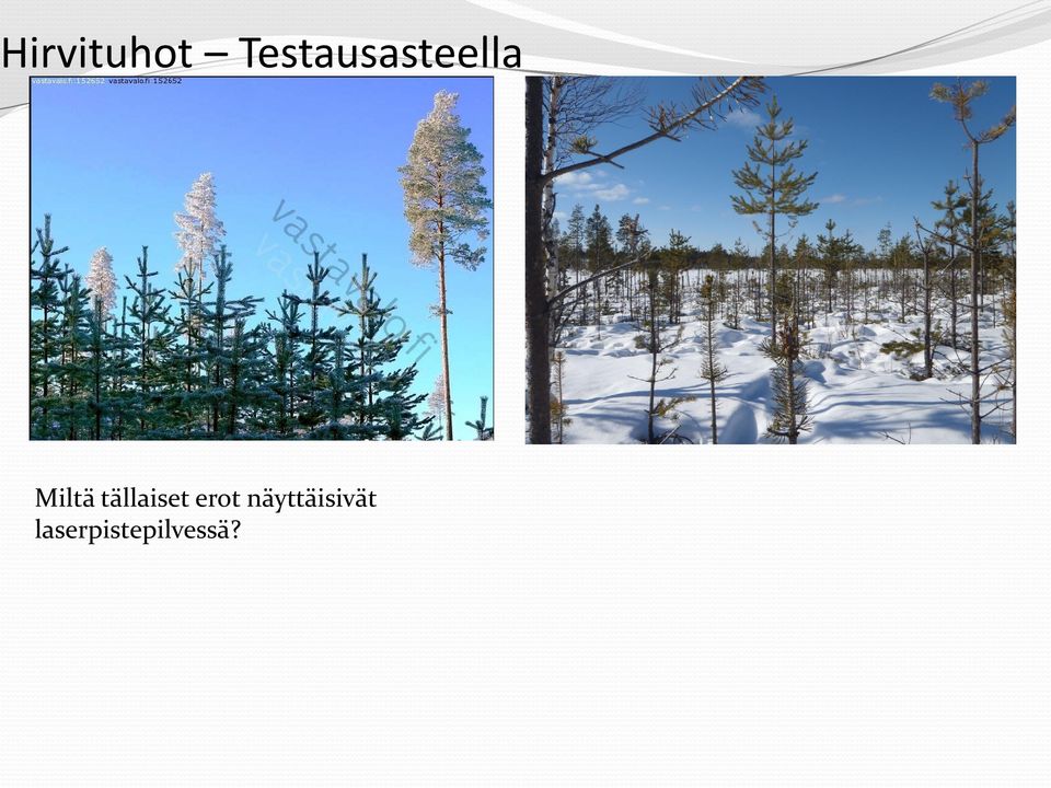 Miltä tällaiset