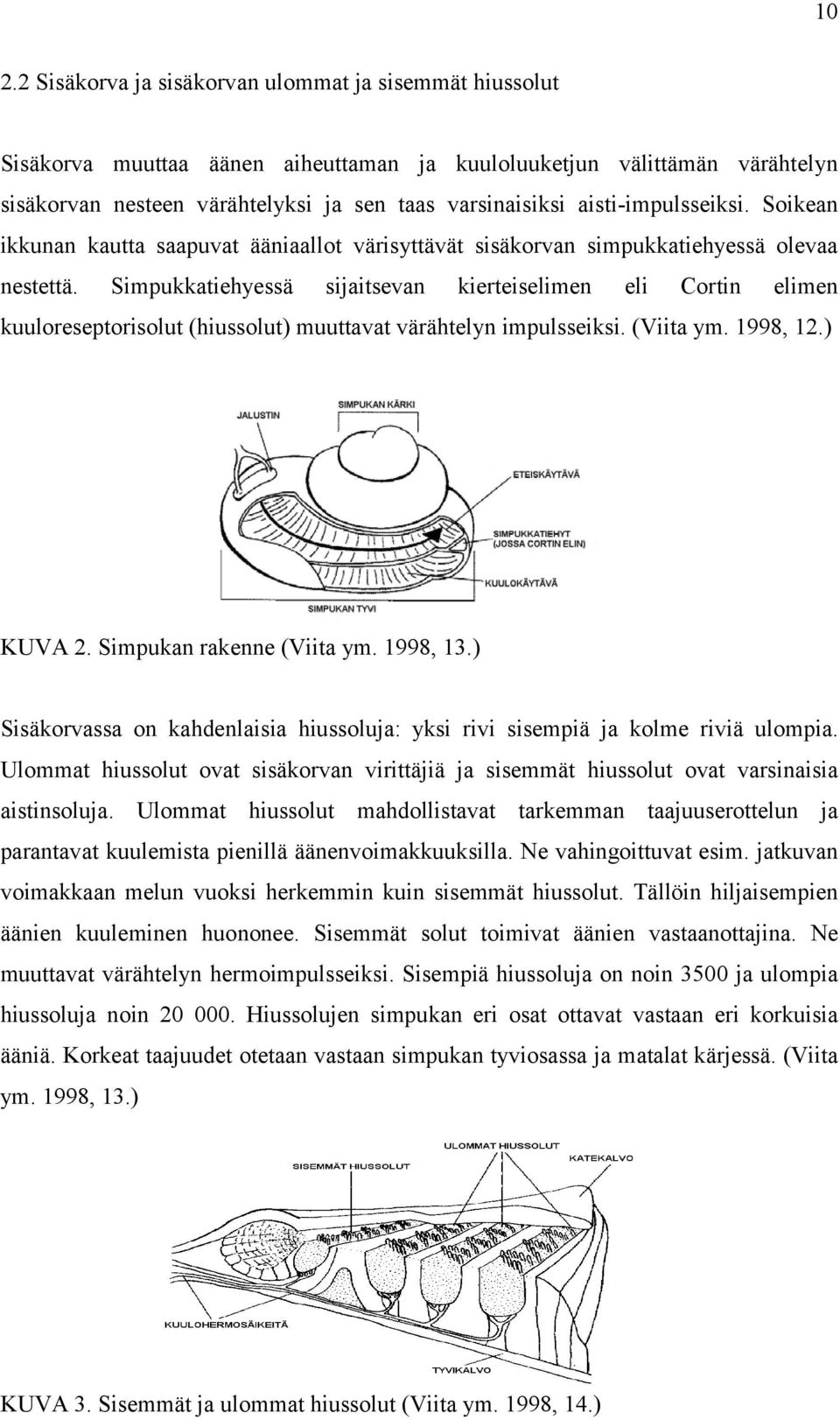 Simpukkatiehyessä sijaitsevan kierteiselimen eli Cortin elimen kuuloreseptorisolut (hiussolut) muuttavat värähtelyn impulsseiksi. (Viita ym. 1998, 12.) KUVA 2. Simpukan rakenne (Viita ym. 1998, 13.