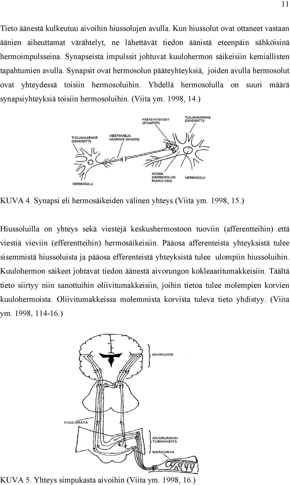 Yhdellä hermosolulla on suuri määrä synapsiyhteyksiä toisiin hermosoluihin. (Viita ym. 1998, 14.) KUVA 4. Synapsi eli hermosäikeiden välinen yhteys (Viita ym. 1998, 15.