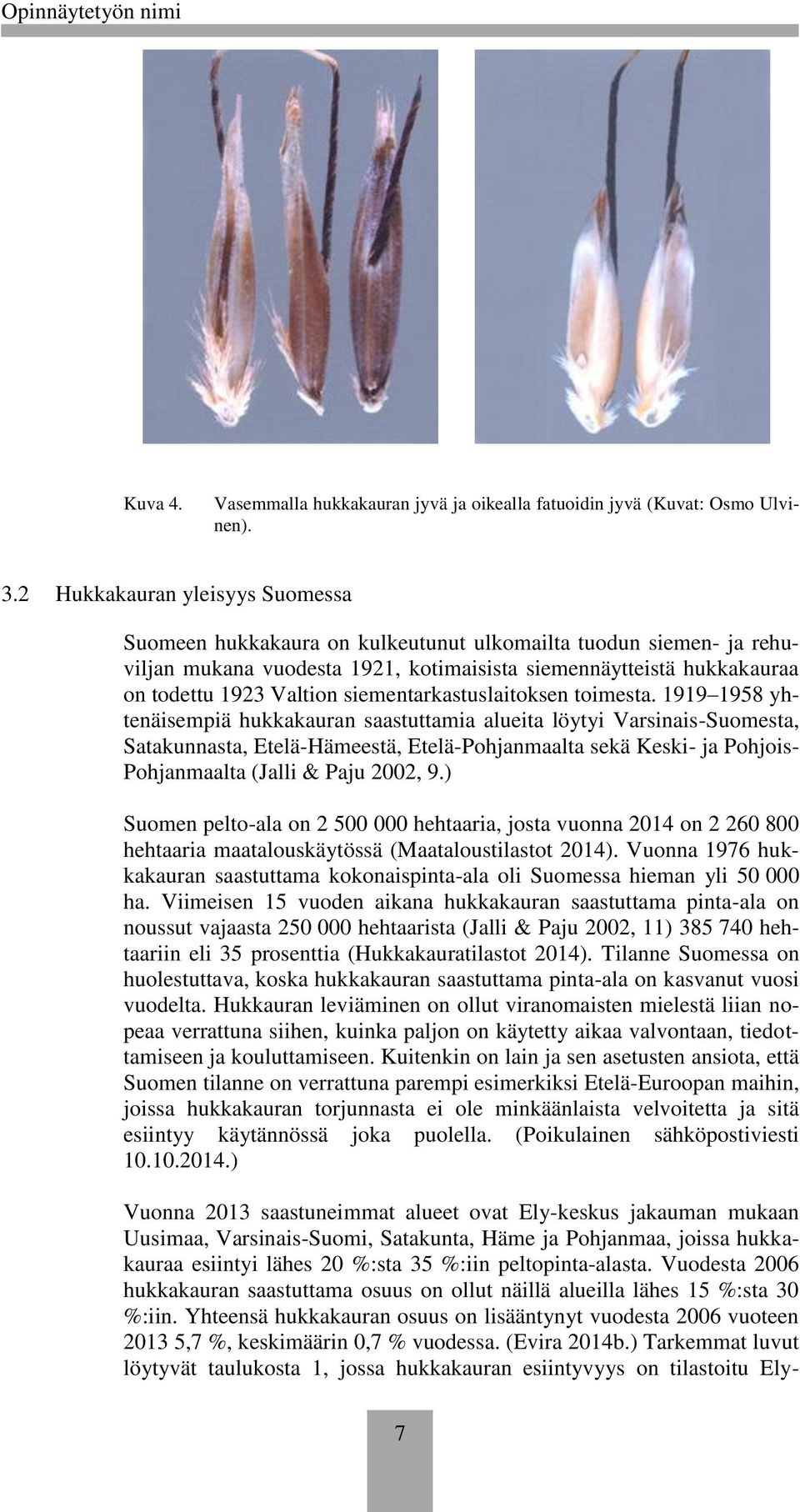 siementarkastuslaitoksen toimesta.