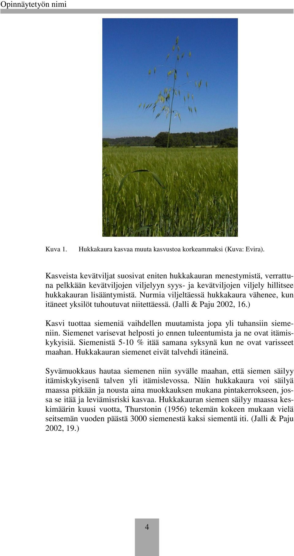 Nurmia viljeltäessä hukkakaura vähenee, kun itäneet yksilöt tuhoutuvat niitettäessä. (Jalli & Paju 2002, 16.) Kasvi tuottaa siemeniä vaihdellen muutamista jopa yli tuhansiin siemeniin.