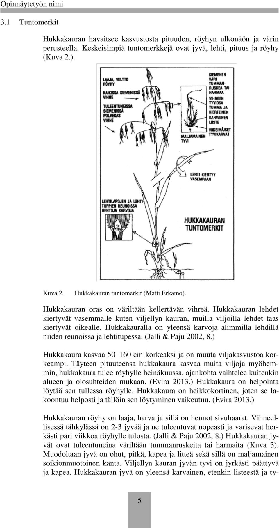 Hukkakauran lehdet kiertyvät vasemmalle kuten viljellyn kauran, muilla viljoilla lehdet taas kiertyvät oikealle. Hukkakauralla on yleensä karvoja alimmilla lehdillä niiden reunoissa ja lehtitupessa.