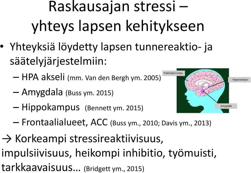 2015) Hippokampus (Bennett ym. 2015) Frontaalialueet, ACC (Buss ym., 2010; Davis ym.