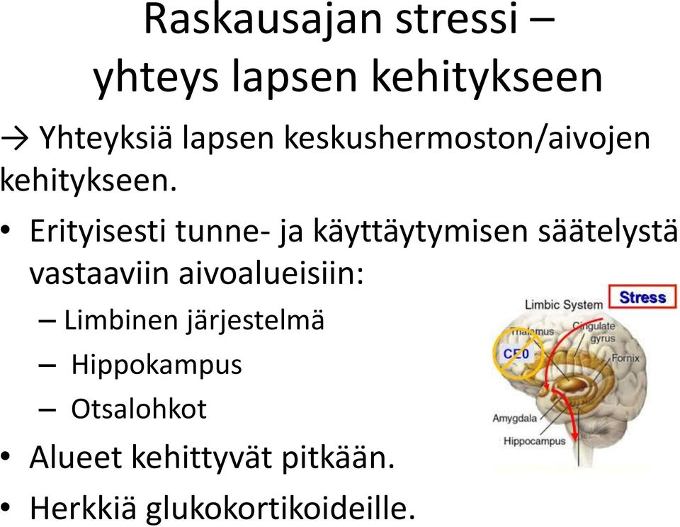 Erityisesti tunne- ja käyttäytymisen säätelystä vastaaviin