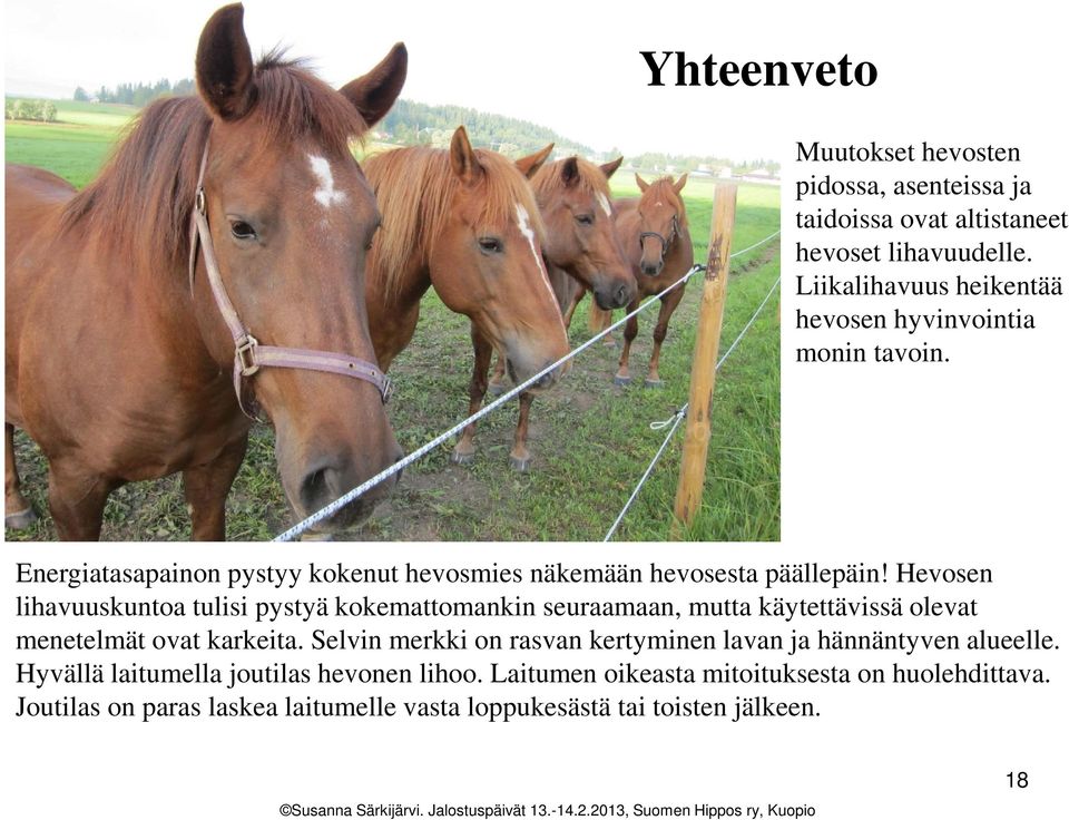 Hevosen lihavuuskuntoa tulisi pystyä kokemattomankin seuraamaan, mutta käytettävissä olevat menetelmät ovat karkeita.