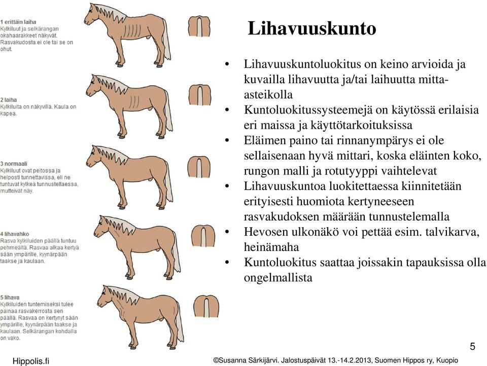 rungon malli ja rotutyyppi vaihtelevat Lihavuuskuntoa luokitettaessa kiinnitetään erityisesti huomiota kertyneeseen rasvakudoksen määrään