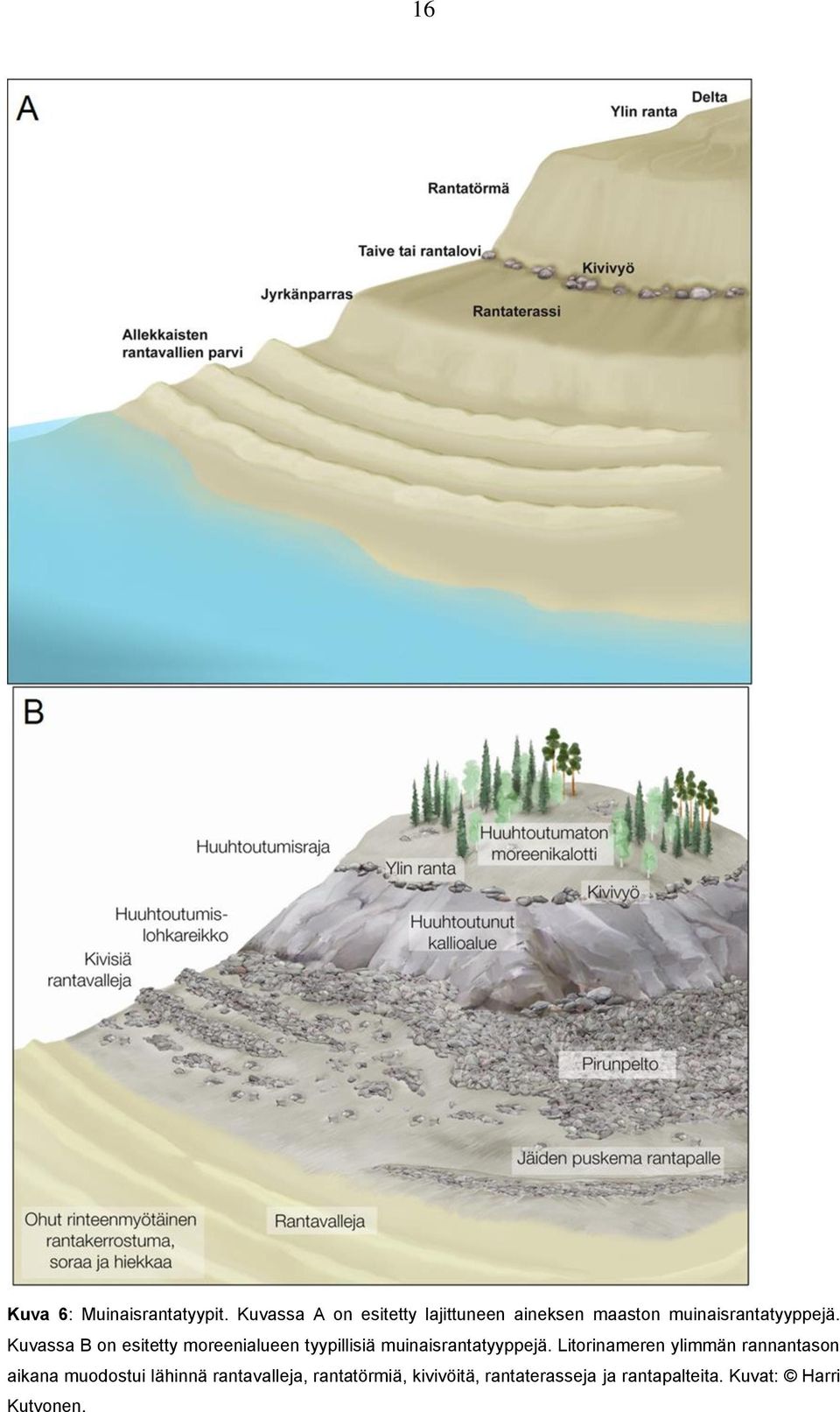 Kuvassa B on esitetty moreenialueen tyypillisiä muinaisrantatyyppejä.