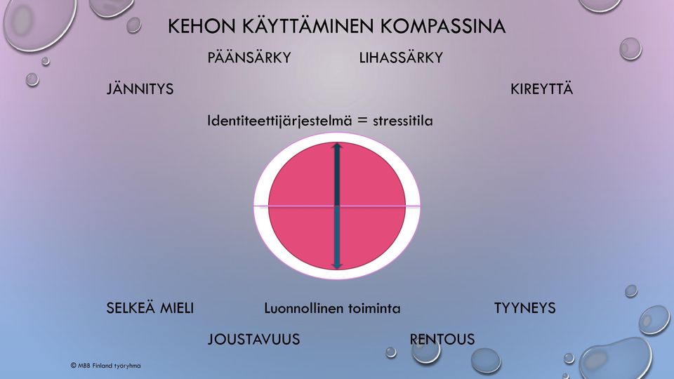 Identiteettijärjestelmä = stressitila