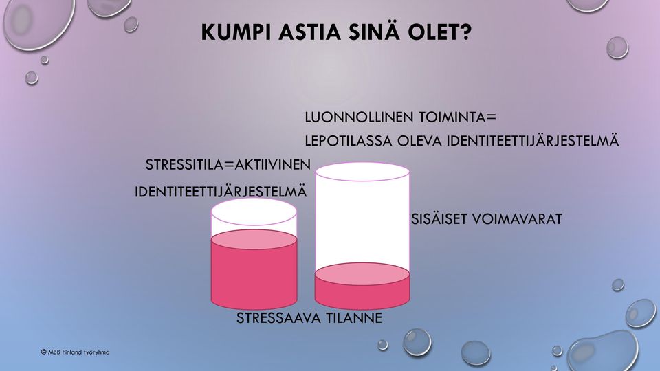 IDENTITEETTIJÄRJESTELMÄ