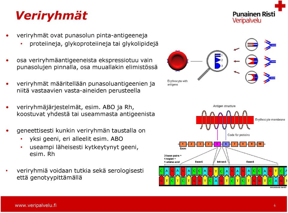 perusteella veriryhmäjärjestelmät, esim.