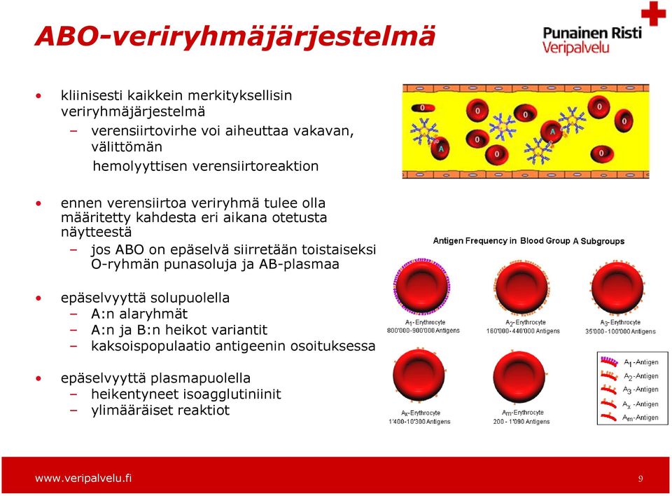 näytteestä jos ABO on epäselvä siirretään toistaiseksi O-ryhmän punasoluja ja AB-plasmaa epäselvyyttä solupuolella A:n alaryhmät A:n