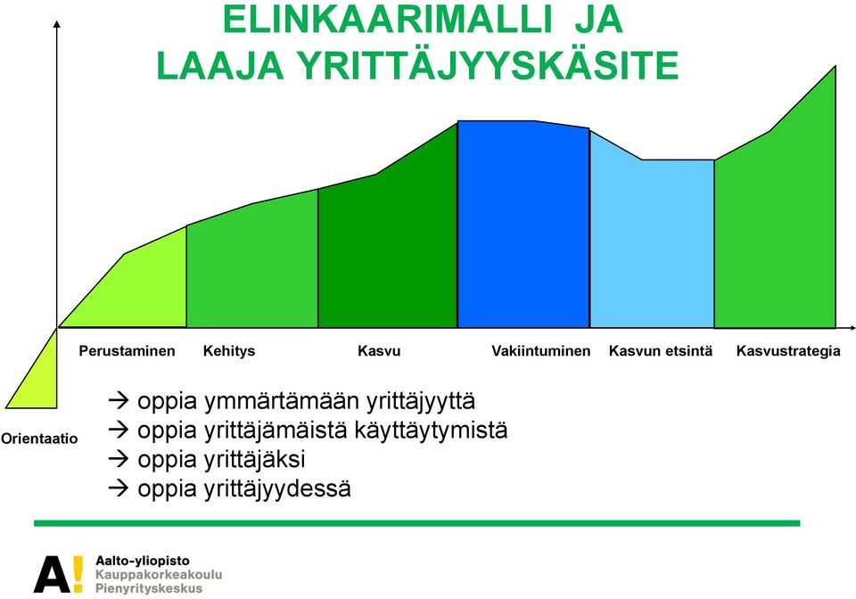 Orientaatio oppia ymmärtämään yrittäjyyttä oppia