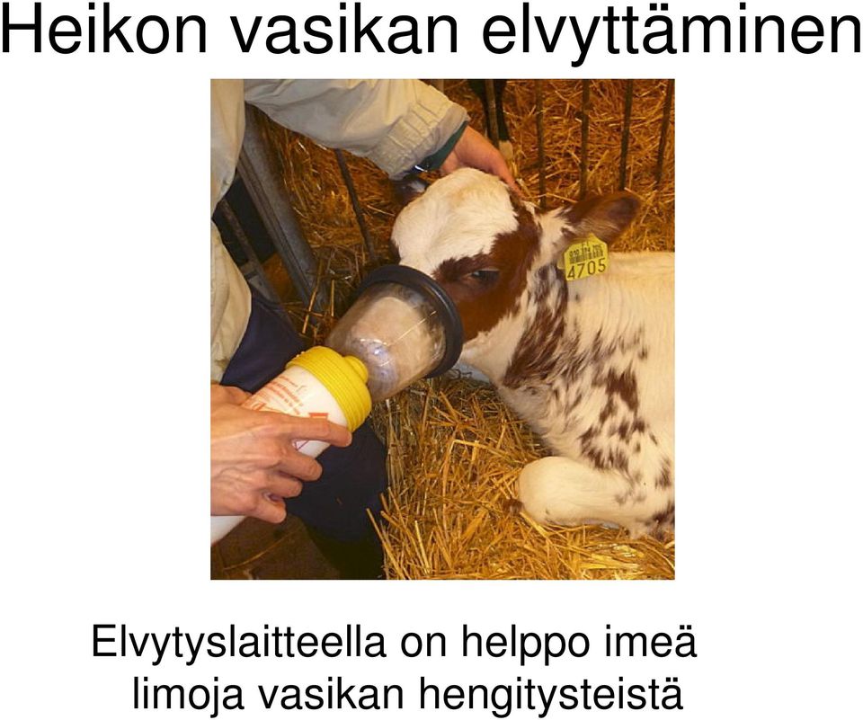 Elvytyslaitteella on