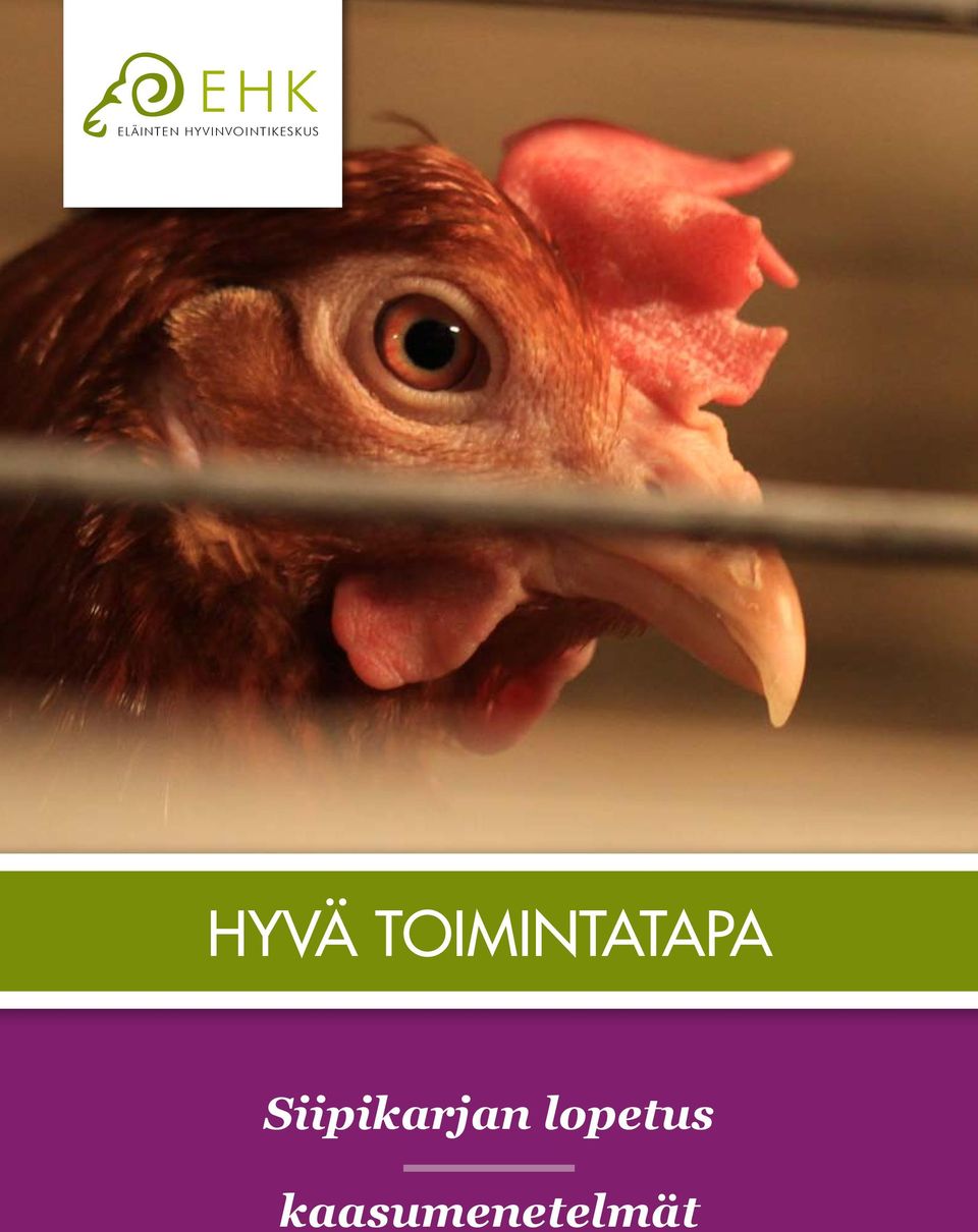 HYVÄ TOIMINTATAPA