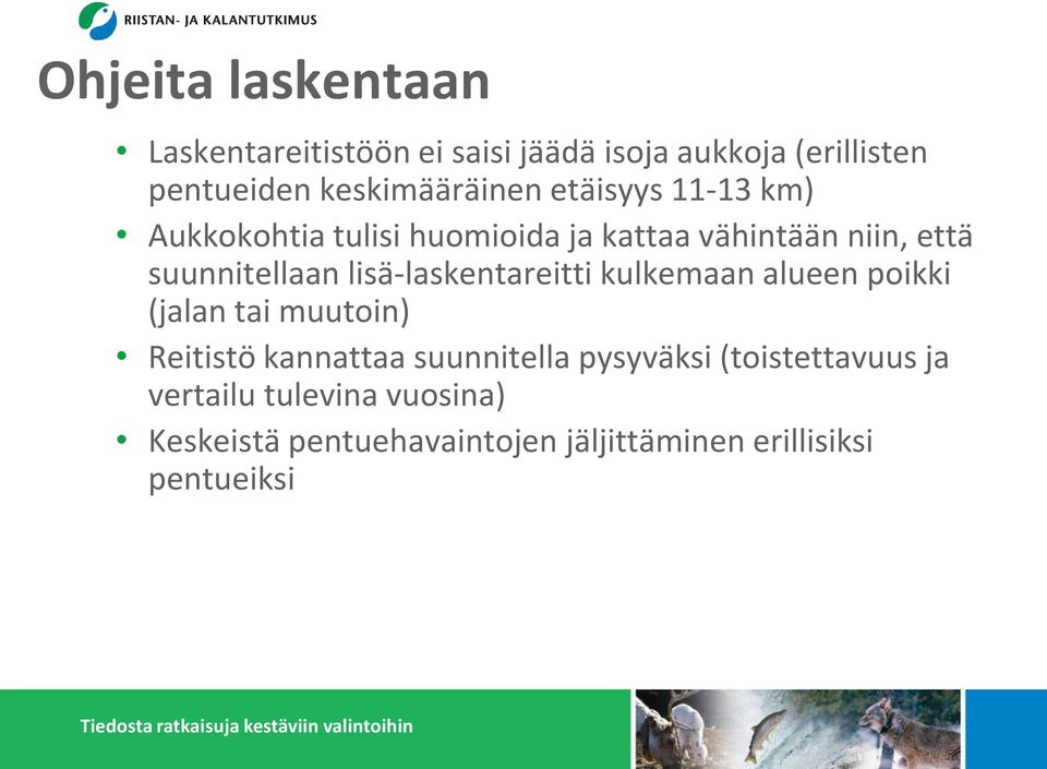 suunnitellaan lisä-laskentareitti kulkemaan alueen poikki (jalan tai muutoin) Reitistö kannattaa