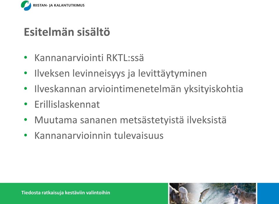 arviointimenetelmän yksityiskohtia Erillislaskennat