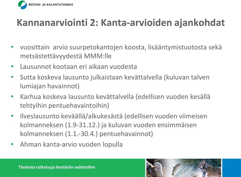 koskeva lausunto kevättalvella (edellisen vuoden kesällä tehtyihin pentuehavaintoihin) Ilveslausunto keväällä/alkukesästä (edellisen