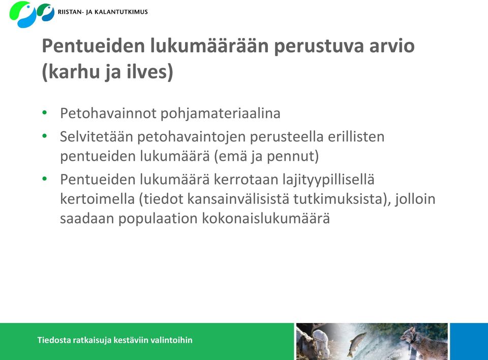 lukumäärä (emä ja pennut) Pentueiden lukumäärä kerrotaan lajityypillisellä