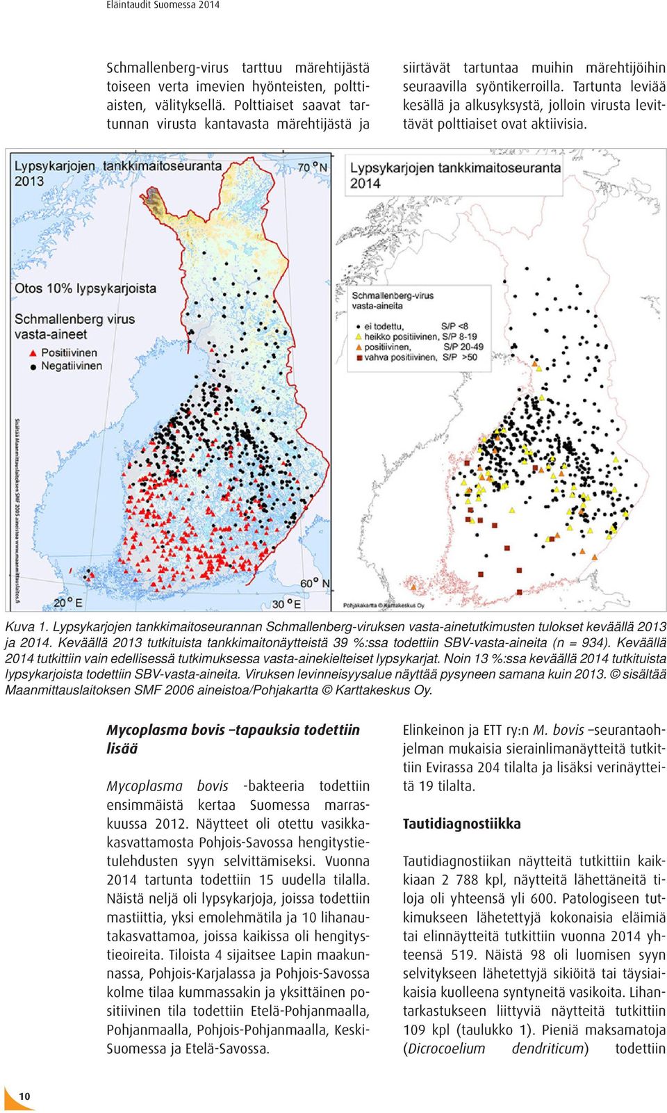 Tartunta leviää kesällä ja alkusyksystä, jolloin virusta levittävät polttiaiset ovat aktiivisia. Kuva 1.