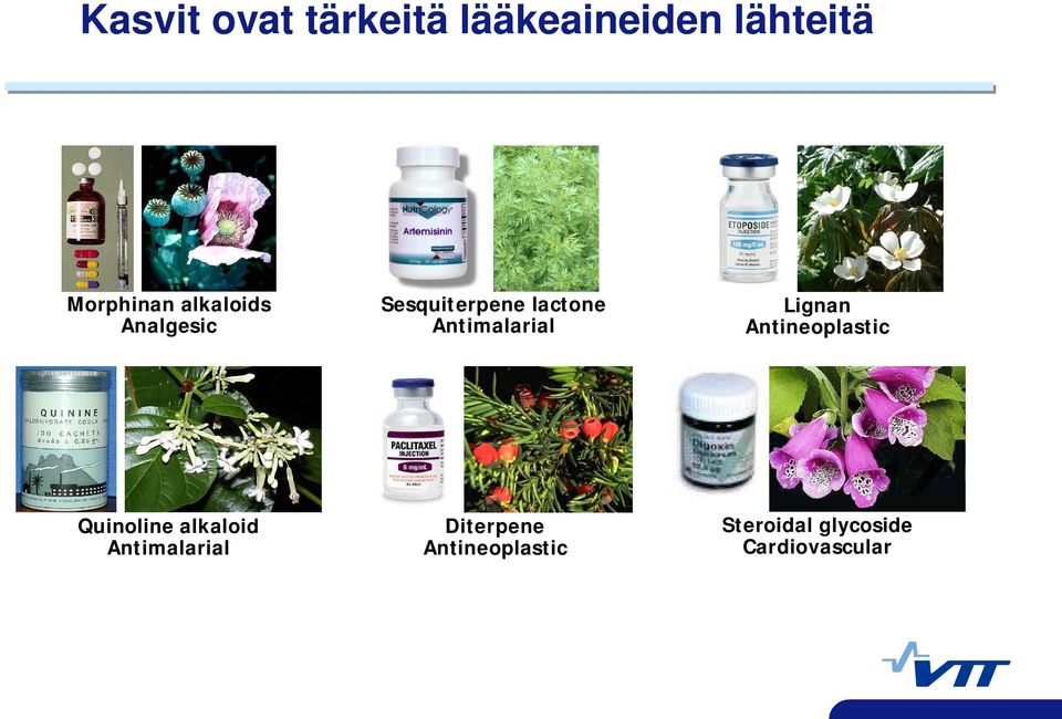 Lignan Antineoplastic Quinoline alkaloid Antimalarial