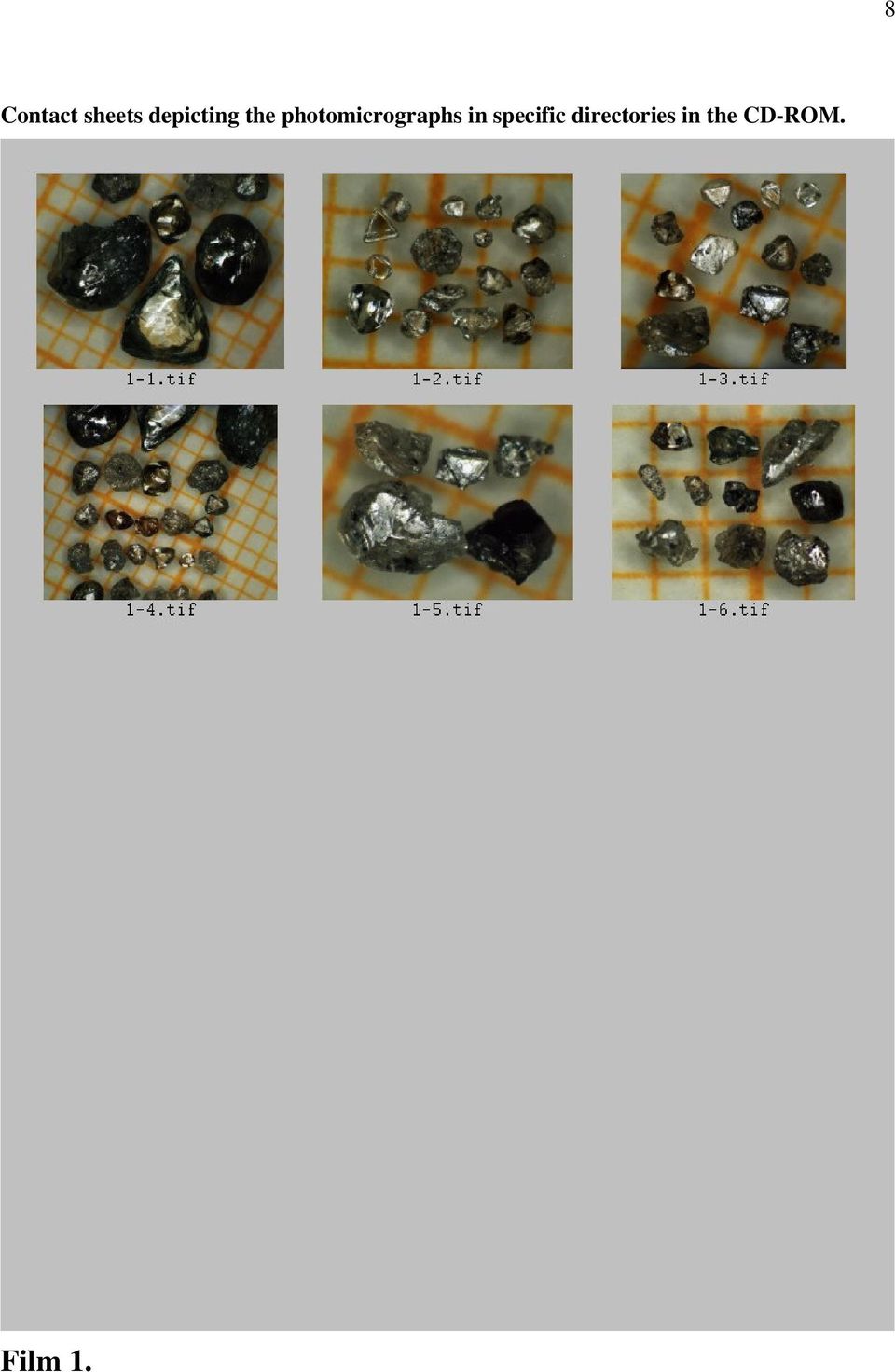 photomicrographs in