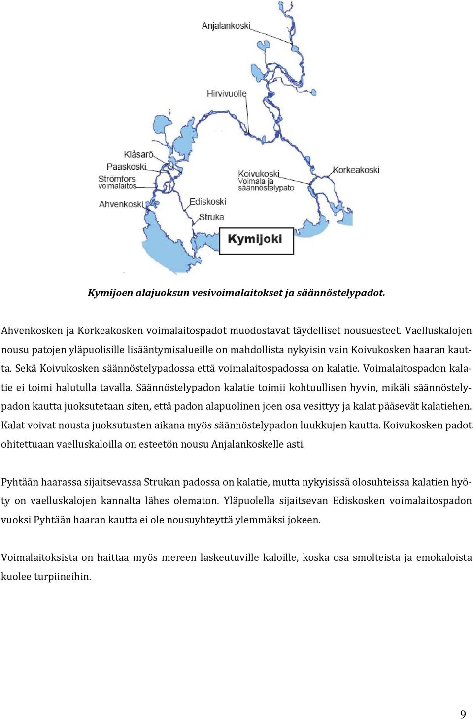 Voimalaitospadon kalatie ei toimi halutulla tavalla.