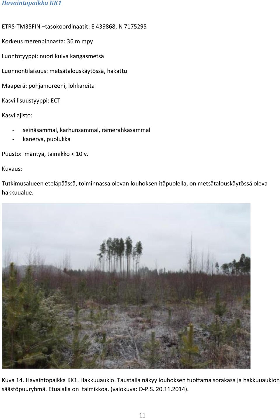 puolukka Puusto: mäntyä, taimikko < 10 v. Kuvaus: Tutkimusalueen eteläpäässä, toiminnassa olevan louhoksen itäpuolella, on metsätalouskäytössä oleva hakkuualue.